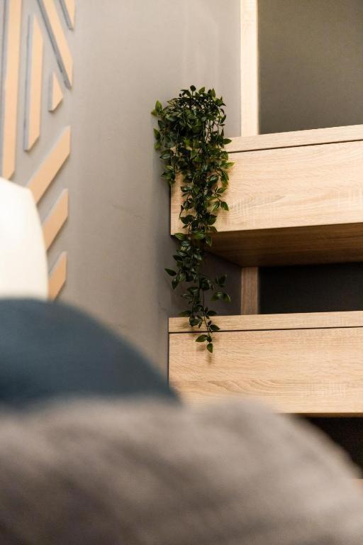 Deluxe Quentin Home Next To The Fashion Street بودابست المظهر الخارجي الصورة